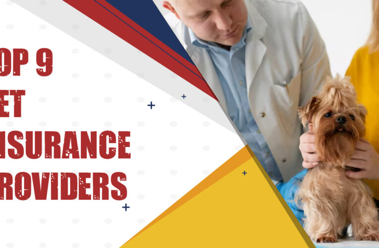 Top 9 Pet Insurance Providers in the USA